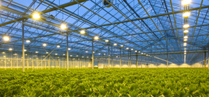 Air Handling for the Agriculture Industry
